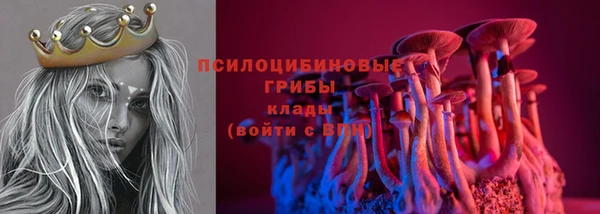 гидра Балахна
