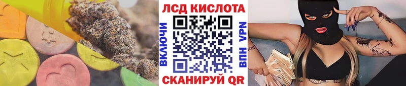 купить наркотики сайты Гудермес Лсд 25 экстази ecstasy
